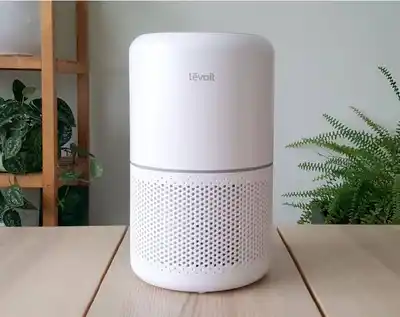 Очиститель воздуха Levoit Core 300S