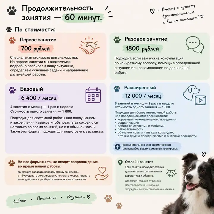 Услуги кинолога: воспитание, обучение и коррекция поведения собак