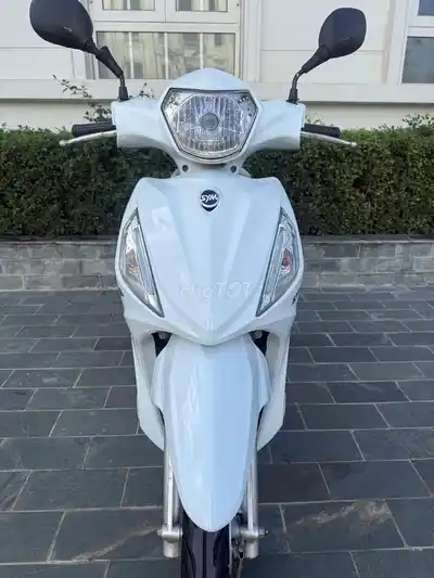 SYM Shark 50 куб. см 2023 Белая
