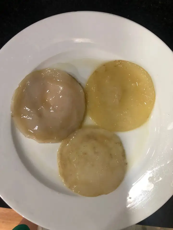 Комбуча гриб