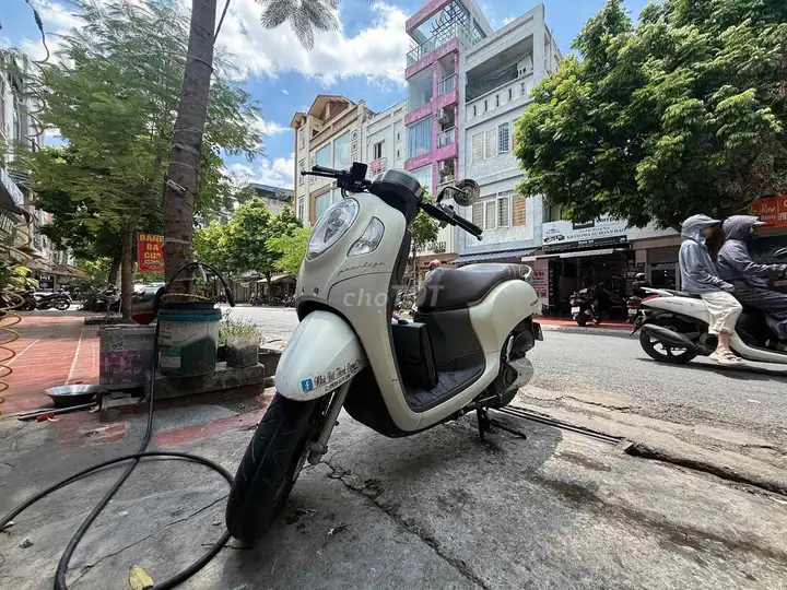Honda Scoopy 2024 Белый