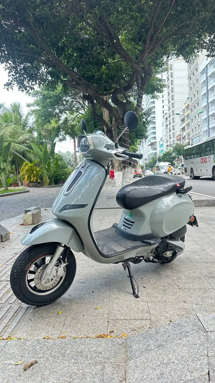 Ally Vegas 50cc