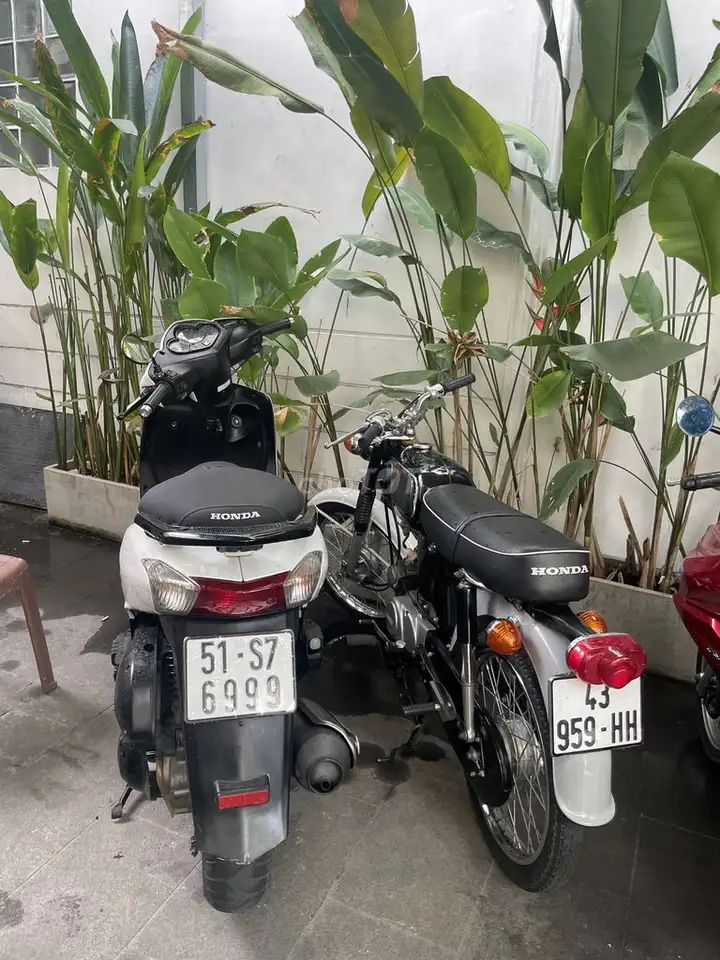 Honda Dylan 2004 белый