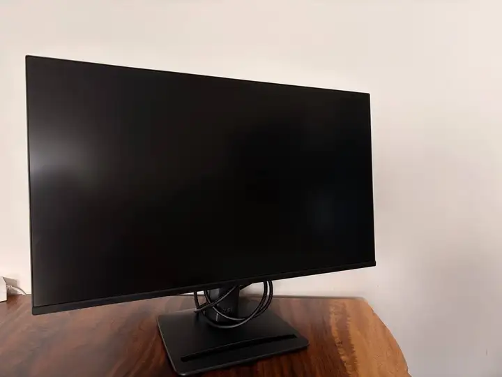 Монитор MSI PRO MP251 E2