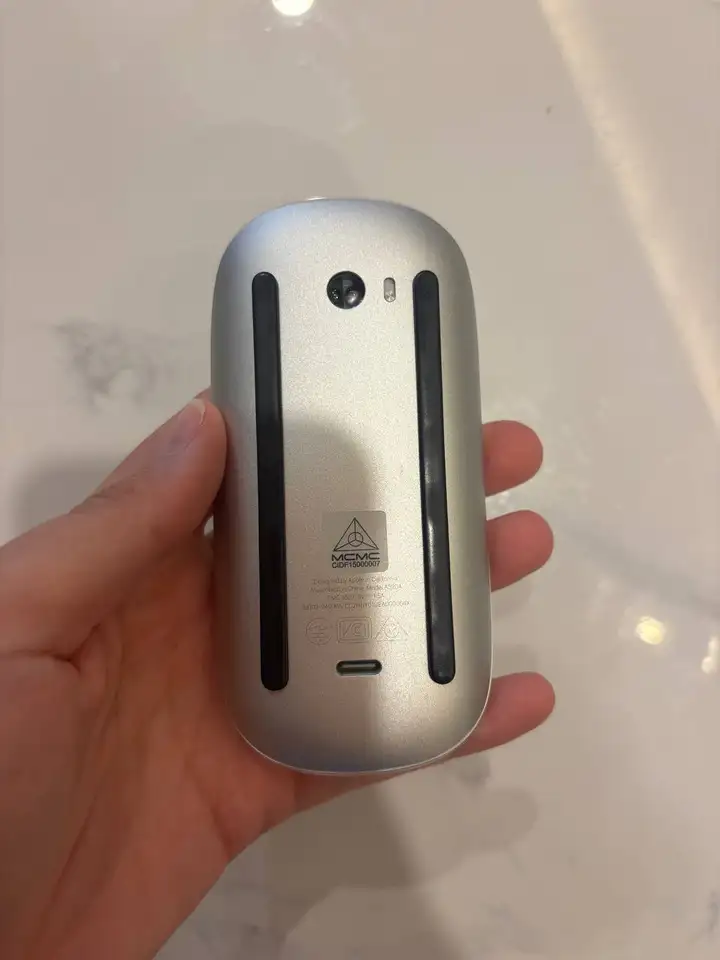Apple Magic Mouse type c