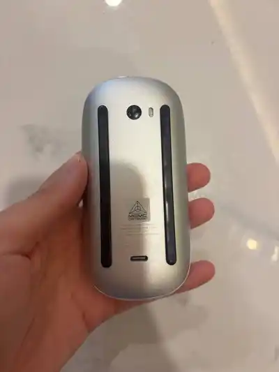 Apple Magic Mouse type c