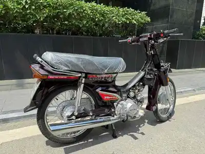 Honda Dream Thai 1999, цвет спелой сливы