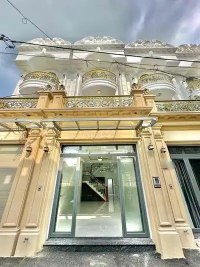 Новый красивый дом в застроенном районе, район Бинь Тан