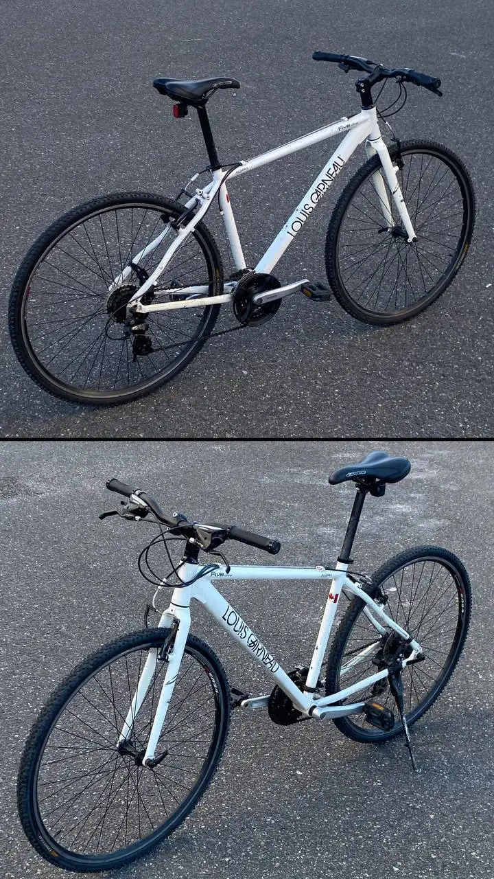 Городской велосипед Louis Garneau LGS-Five