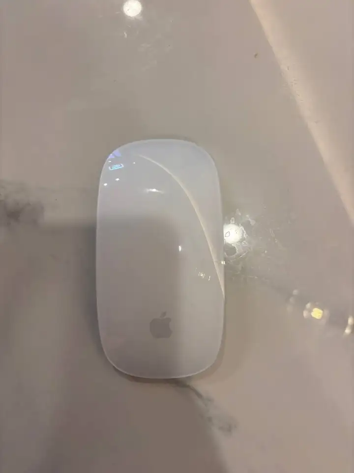 Apple Magic Mouse type c