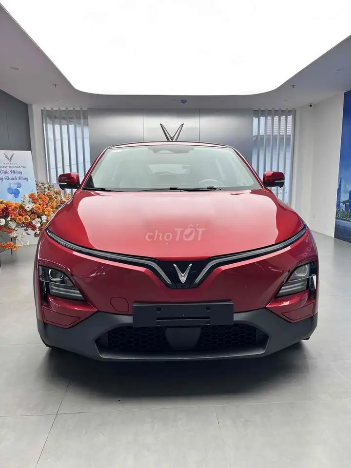 Благодарность клиентам VinFast VF6 Plus по специальной цене