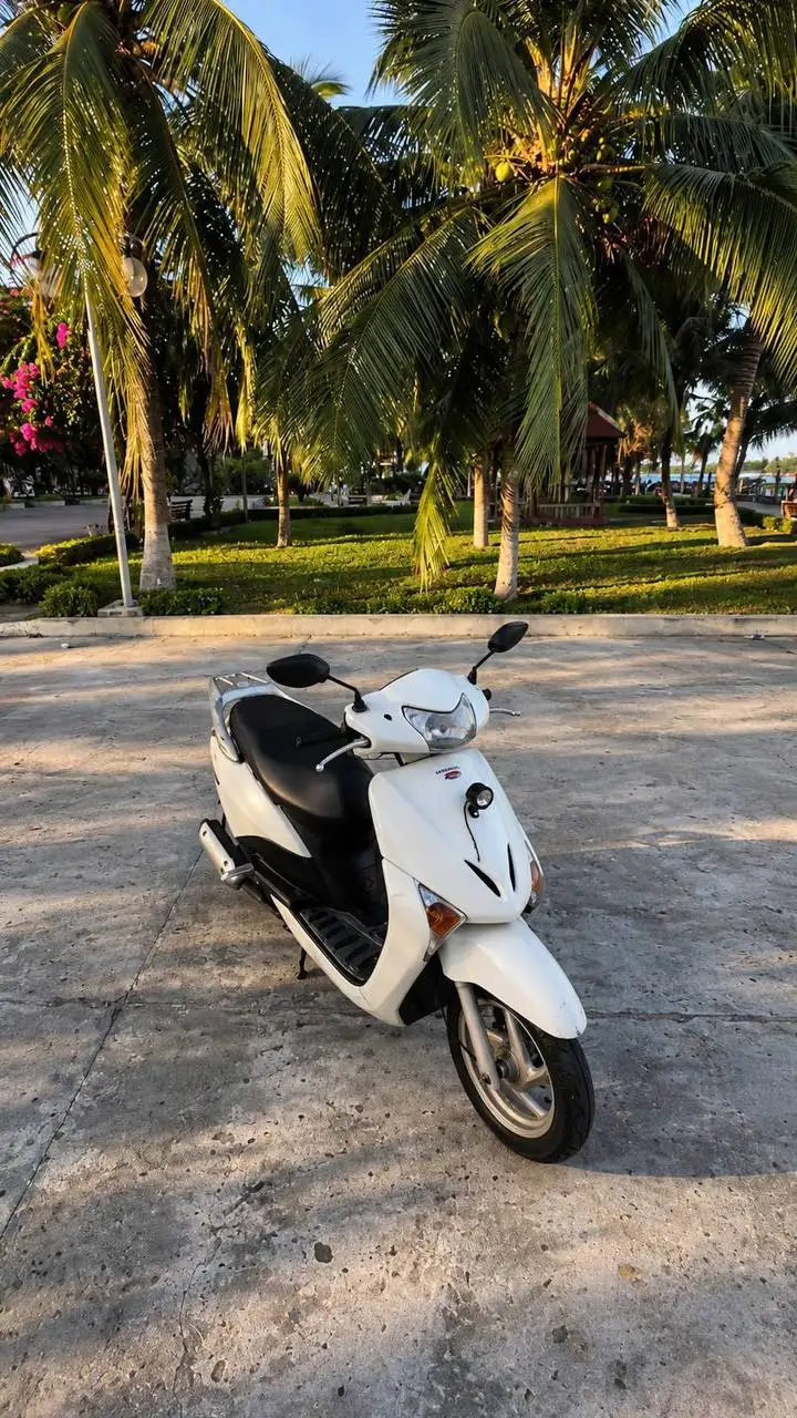 Honda LEAD 2010