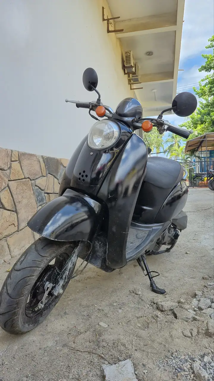 Honda Scoopy 50сс