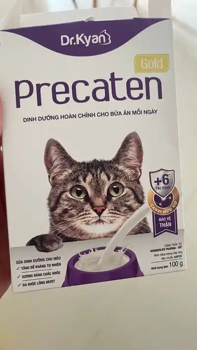 Набор для поддержания жизнедеятельности котёнка