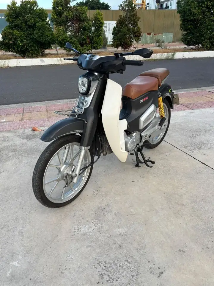 CUB 50cc 2022