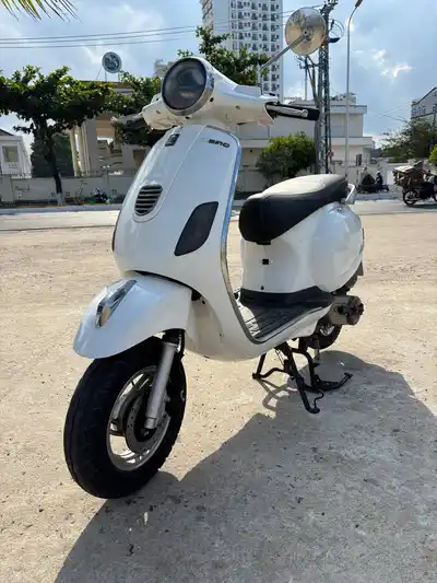 Dibao Pansyx 2020