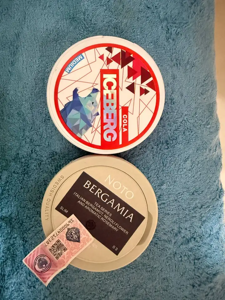 Iceberg Nicotine Pouches 20 mg/g
