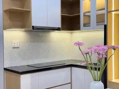 Квартира на улице Ле Динь Ли, центр