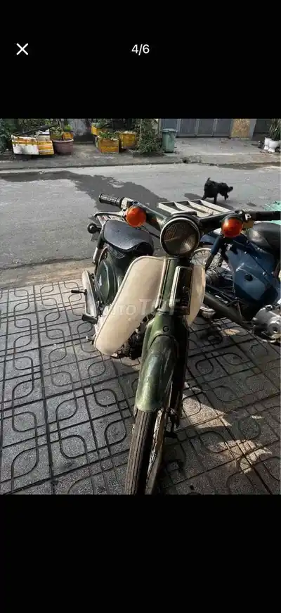 Honda Super Cub 70 зелёного цвета