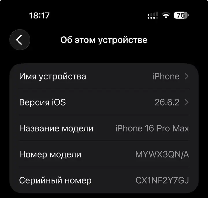 iPhone 16 Pro Max Desert Titanium 256GB