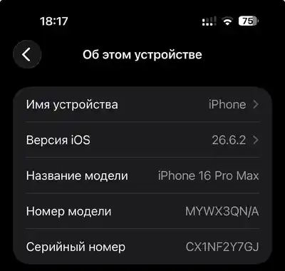 iPhone 16 Pro Max Desert Titanium 256GB