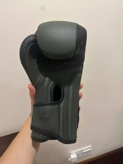 Боксерские перчатки Saigon Boxing 12 oz