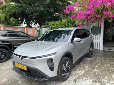 VinFast Limo green 15.000 km, серебристый