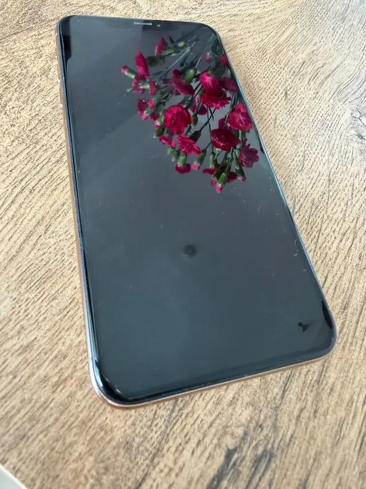 iPhone XS Max 64GB