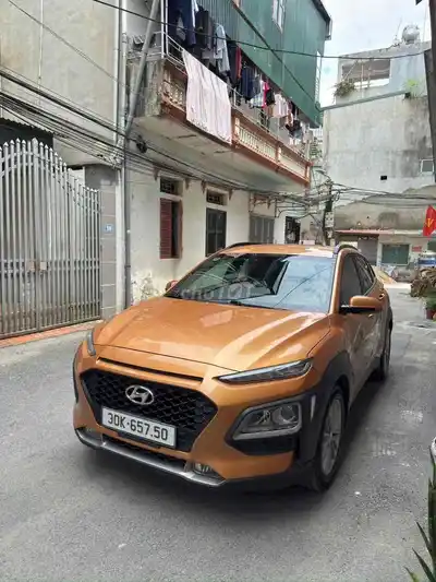 Hyundai Kona 2019 камель