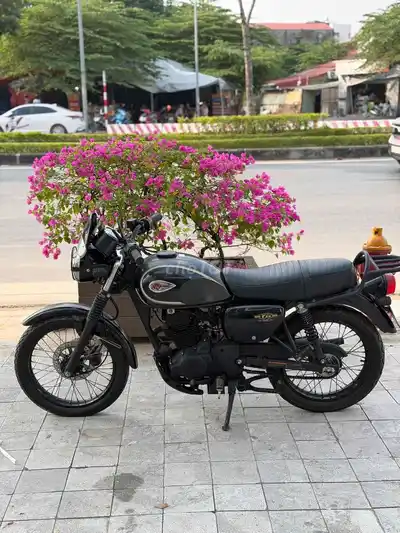 Kawasaki W175 2019, черный