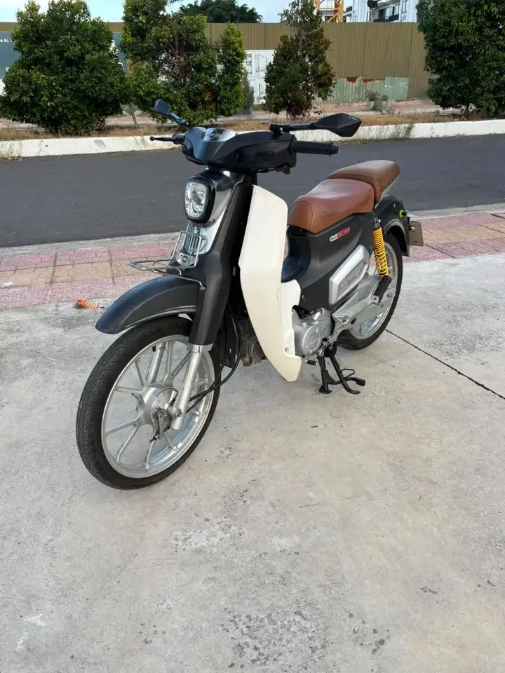 CUB 50cc 2022