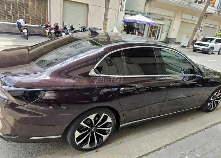 Vinfast LuxA Premium 2021 Коричневый/Бежевый 49000 км