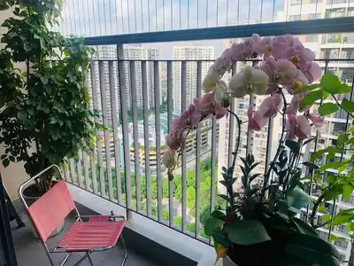 Апартаменты S2.11 Vinhomes Ocean Park с мебелью, 2 спальни, 2 санузла+1