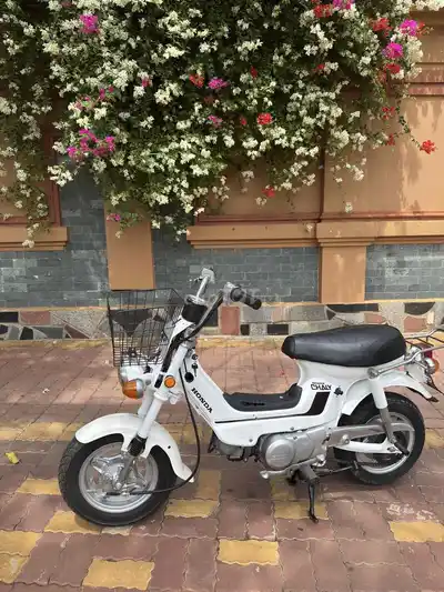 Honda Chaly белая классическая японская