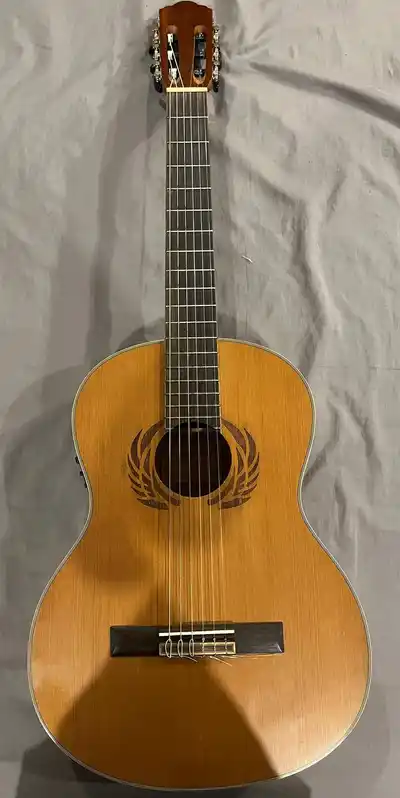 Электроакустическая гитара Gilmour Music Manufactures