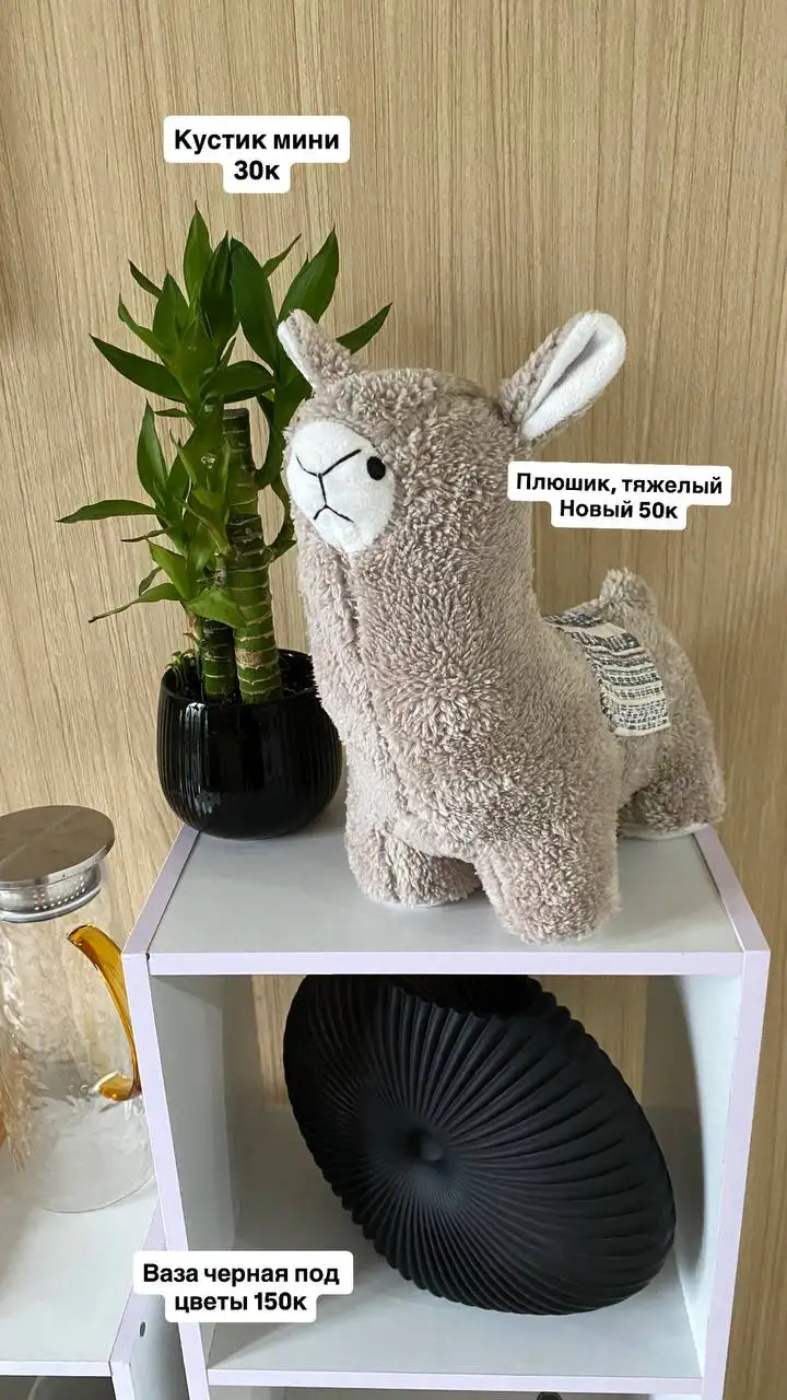 Вещи при переезде