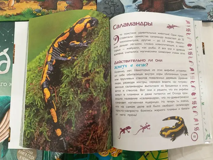 Книги про Груффало, Герда, Насекомые и животные