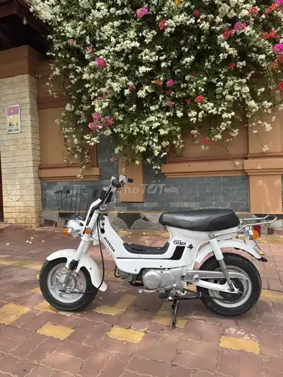 Honda Chaly белая классическая японская