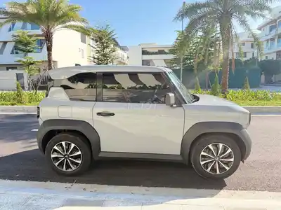VF3 покупка батареи с регистрацией 7/2025 безлимитная зарядка