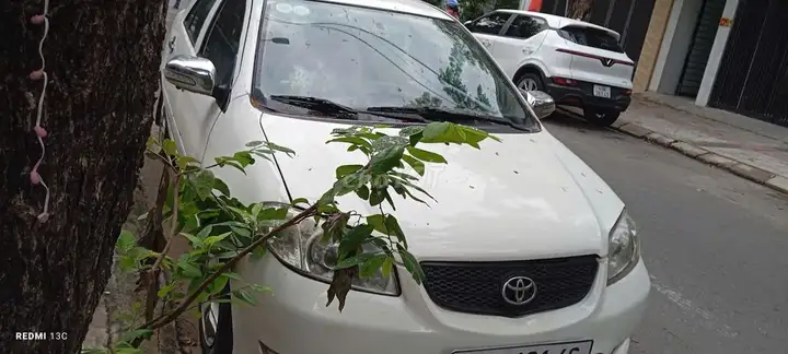 Toyota Vios 2005 Белый