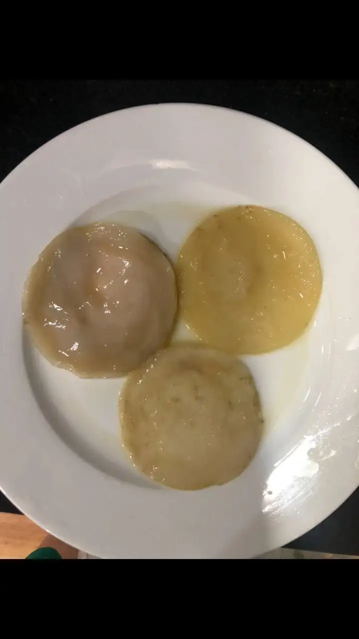 Комбуча гриб