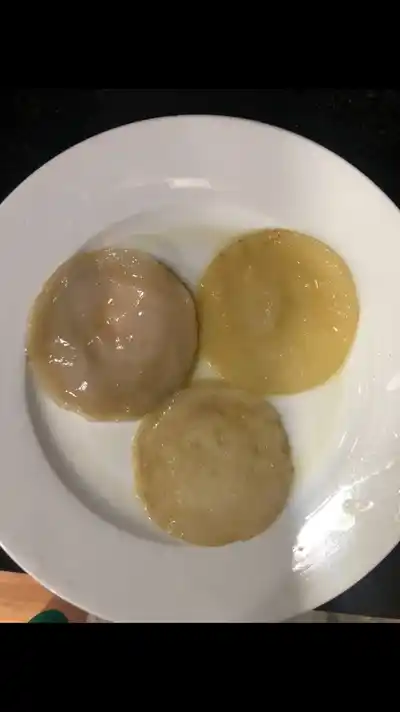 Комбуча гриб