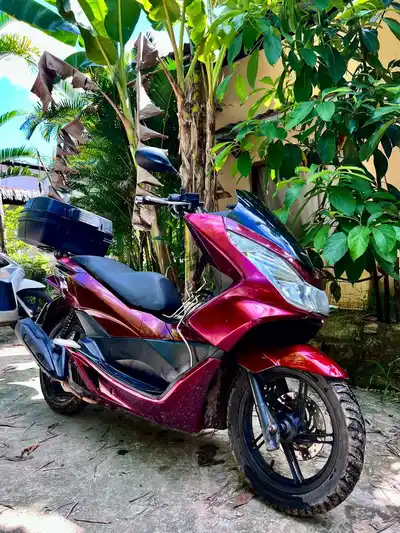 Honda PCX