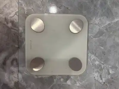 Весы