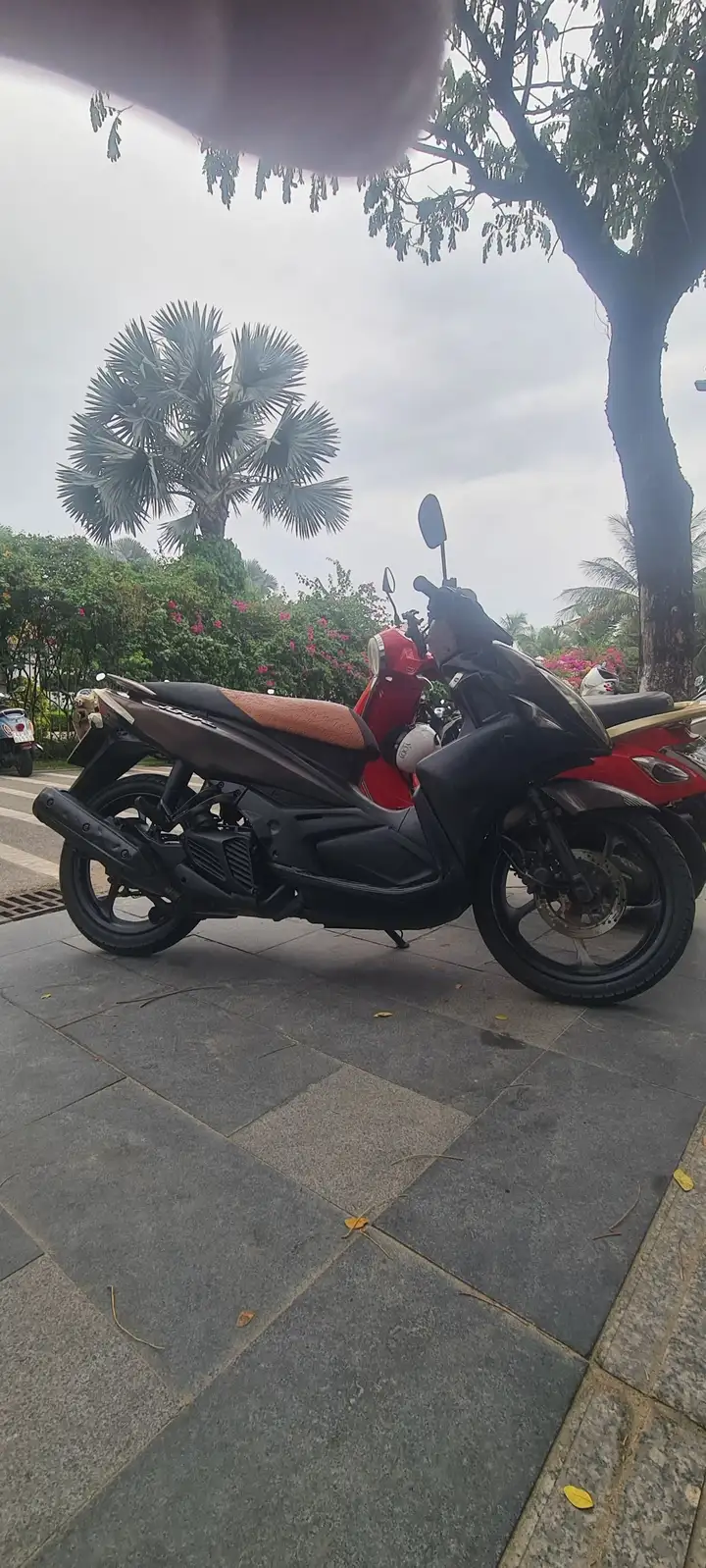 Yamaha Nouvo LX