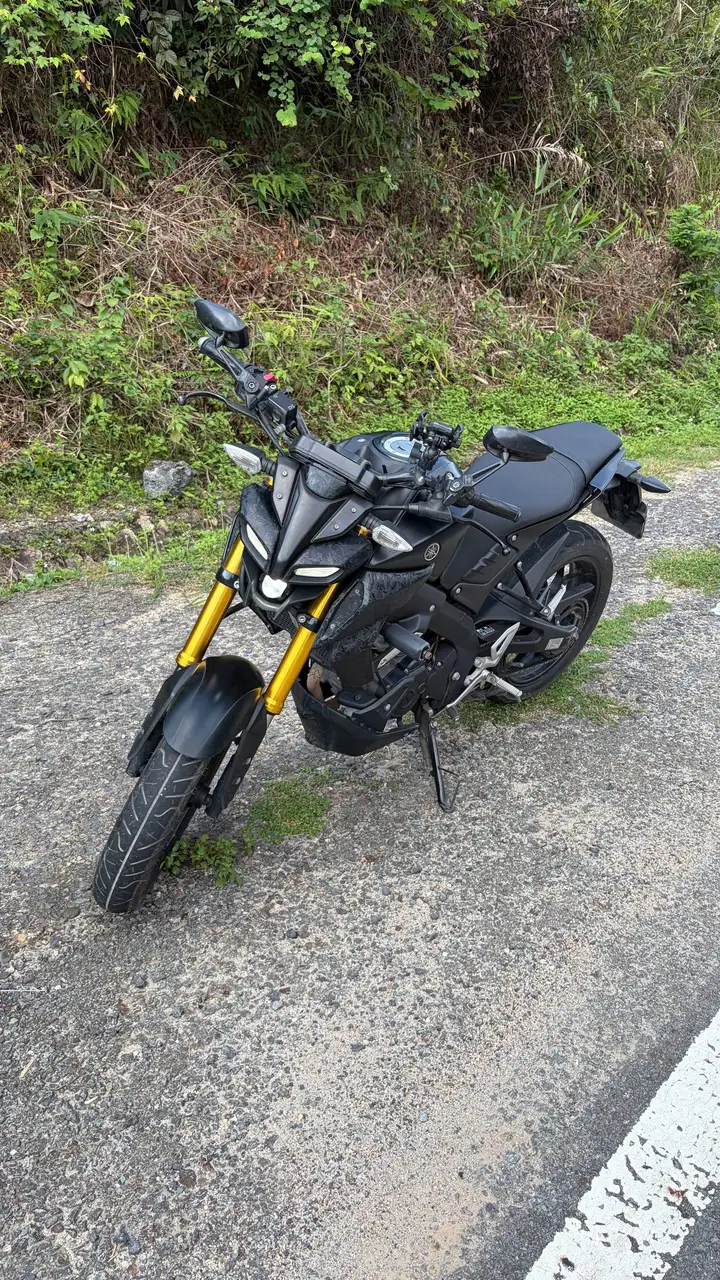 Yamaha MT 15