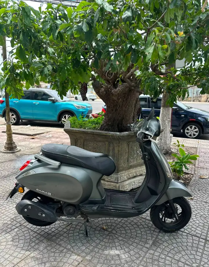 DK ROMA SX 50cc