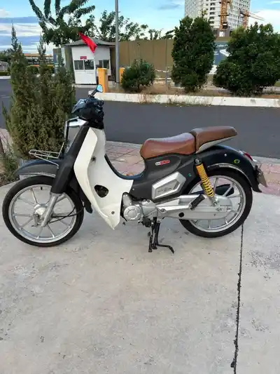 CUB 50cc 2022