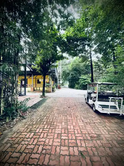 Проживание в медитационном центре Dong Nai
