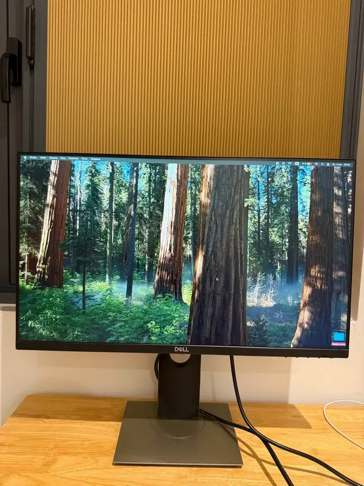 Монитор Dell P2419h, гантели сборные